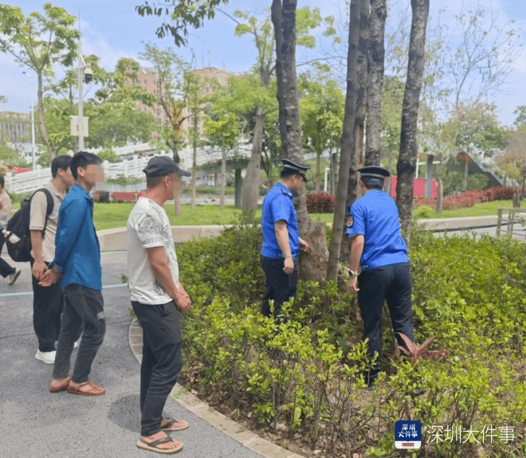 深圳一男子被抓现行！这事千万不能做